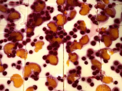 Mandarin-Johannisbeer-Käse